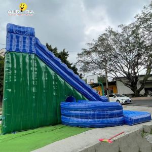 Commercial Inflatable Water Slide Swim Pool Jumping Castles Water Slides