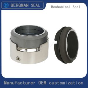 H7N H74 25mm-100mm G60 G4 G6 G9 G13 G16 BS Bo BP Pump Mechanical Seal
