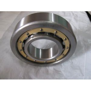 China N 224 ECP;NU 224 ECP;NJ 224 ECP;NUP 224 ECJ Cylindrical Roller Bearings on sale