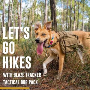 Well-Made Air-Mesh Padded Best Dog Carrier Backpack with Hook-and-Loop Closured