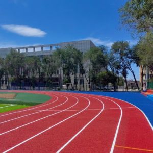 Buy cheap Quick-Install Eco-Friendly Innovative Semi-Prefabricated Athletic Track WA & SGS Certificated from wholesalers