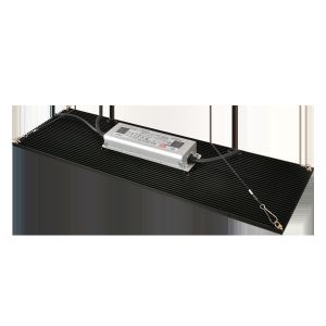 Buy cheap Separate Hanger 240W 3500K Indoor Horticulture Lighting from wholesalers