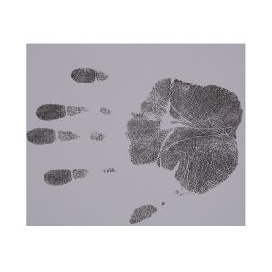 Buy cheap E009 BTNY-V High polymer full palm print pad from wholesalers