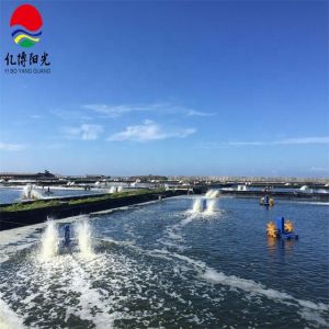Buy cheap 0.5mm HDPE Geomembrane Plastic Sheet for Dam or Artificial Lake 100% Virgin Material from wholesalers