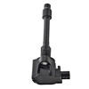 China Beru Denso Delphi Agent Factory Auto Car Ignition Coil on sale
