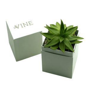 Buy cheap Custom Printed Succulent Planter Gift Box Succulent Packaging Box from wholesalers