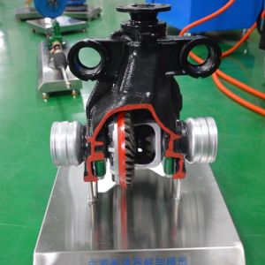 Buy cheap Final Drive Differential Cutaway Model Automotive Education Equipment For Skill Development from wholesalers