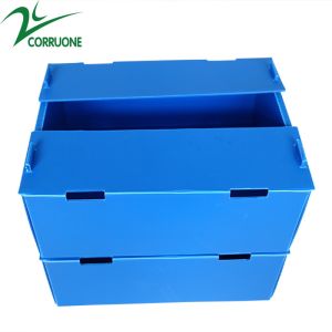 Buy cheap Corruone waterproof Fruit Vegetable Packing PP Cartonplast Grapes Packing Boxes Plastic Broccoli Boxes Corrugated Ginger box from wholesalers