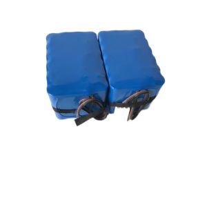 48v 1000w Electric Bicycle Battery 36v 20ah Lithium Ion Battery