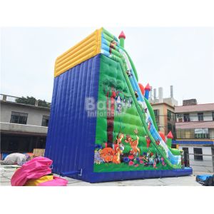 11X6X9m Commercial Inflatable Slide , PVC Tarpaulin Blow Up Jumping Castle