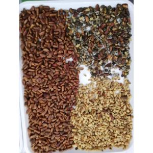 Buy cheap Corn / Grain / Beans/ Almond Kernels Color Sorter Multi Function High Technology from wholesalers