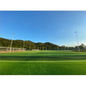 Buy cheap 50mm Pile Height Artificial Football Pitch Disease Resistant Weaving Technique With Rubber Granules from wholesalers