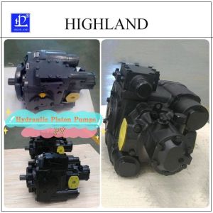 Hydraulic Piston Pumps with Variable Displacement Axial Structure