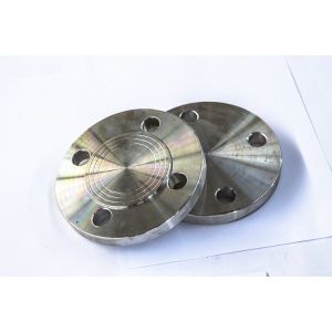 Customized Asme B16 5 Blind Flange Astm A182 F304 Class 150