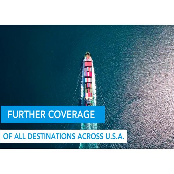 Quality Rapid International Sea Freight Sea Forwarding Agent  From China To Europe Timely for sale