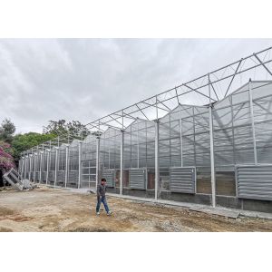 Buy cheap Polycarbonate Multi Span Greenhouse For Hot Climate 12 Meter Width from wholesalers