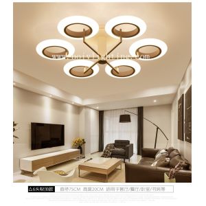 Luxurious Fashion Style Fancy Circle Acrylic LED Ceiling Ligtings BV2103C