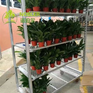 Buy cheap Metal Plate Dutch Flower Trolley Customized For Display from wholesalers