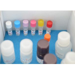 Buy cheap Rapid Quantitative Vitamin Test Kit Vitamin B12 ELISA Test Kit For Research product