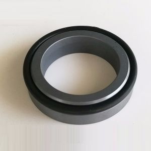 Buy cheap G6 G606 Stationary Silicon Carbide Ring Burgmann Mechanical Seal from wholesalers