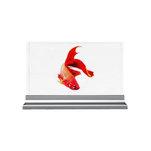 Buy cheap HD Interactive Transparent OLED Display 30in Transparent Digital Signage from wholesalers