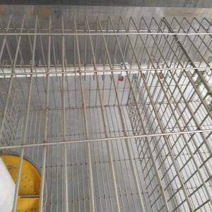 High Performance Farm Rabbit Cage Anti Corrosion Galvanized Surface Easy
