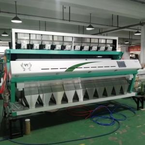 Buy cheap CCD Camera 10 Tons Rice Color Sorter Machine Rice Sorting Machine With AI Technology from wholesalers