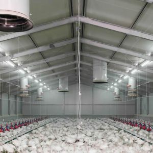 Buy cheap Custom Modern Steel Frame House , High Strength Metal Chicken House from wholesalers