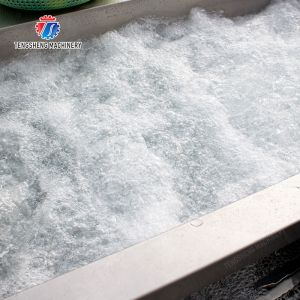 Wash Washer Washing Cleaning Brush bubble cleaning machine Carrots and