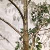 Buy cheap Custom Corner Artificial Ficus Tree Space Decoration Minimalist Style from wholesalers