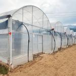 Buy cheap Turnkey Projects Installed Commercial Hydroponic Plastic Film Green House Multi-span Agricultural Greenhouses from wholesalers