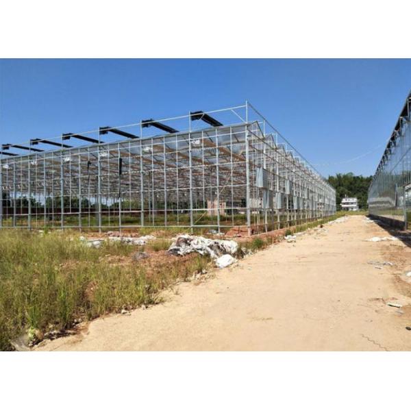 Quality Venlo Glass Greenhouse , Multi Span Greenhouse For Hydroponics System for sale