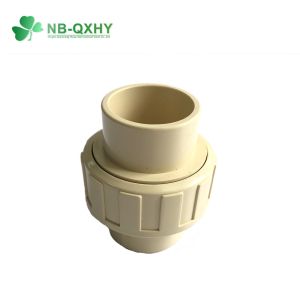 Plastic Fittings ASTM CPVC Reducing Bushing Customized Request