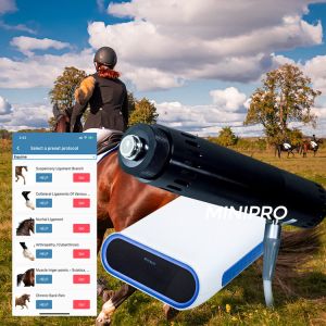 Buy cheap Horse Treatment Physiotherapy Horse Shockwave Therapy Machine from wholesalers