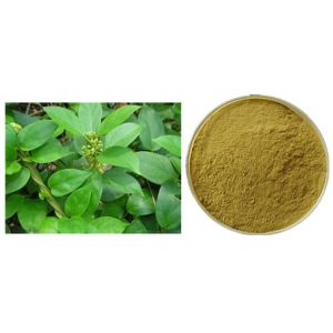 Buy cheap Gymnema Sylvestre Leaf Anthocyanin Extract Powder For Pharmaceutical from wholesalers