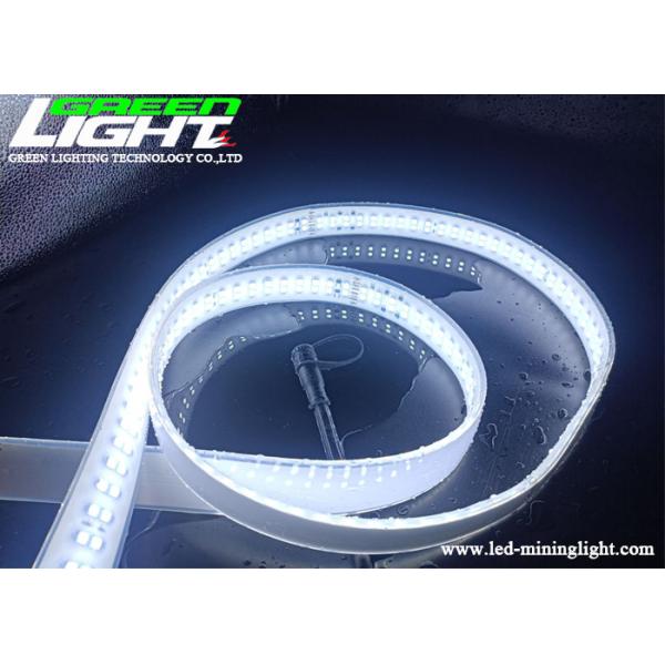 Quality Double Row IP68 SMD3528 LED Flexible Strip Lights AC220V 3528 or 5050 SMD LED Epistar 2000Lum for sale