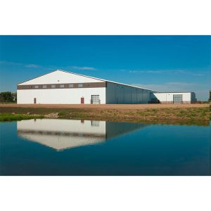 Buy cheap Galvanized Or Painted Steel Structural Buildings Durable Strong from wholesalers