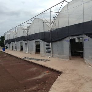 Buy cheap Rolling Benches Seedling Nursery Multi Span Greenhouses Galvanized Steel from wholesalers