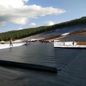 Buy cheap Project Solution Capability 1.5mm HDPE Geomembrane Liner for Waste Treatment Water Dams from wholesalers