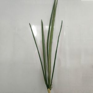 Clear Veins Green Artificial Ornamental Plant Dwarf Lilyturf Branches