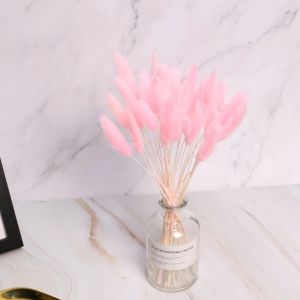 Buy cheap Wholesale cheap preserved dried flower 150 pcs /bunch dried rabbit tail grass lagurus ovatus from wholesalers