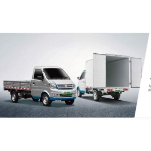 China Brand Electric Mini Truck with Van Ruichi Ek01s Loading Capacity 720kg