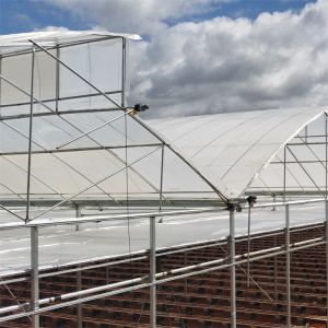 Buy cheap High Multi Span Strong Plastic Greenhouse Saw Tooth Roof Ventilation from wholesalers