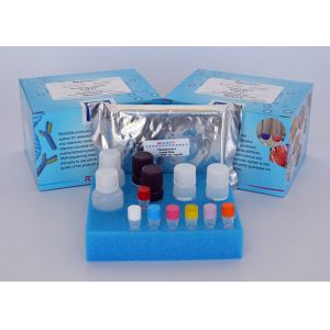 Buy cheap Rapid Detection Apramycin ELISA Test Kit Competitive Enzyme Immunoassay from wholesalers