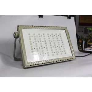 Explosion Proof LED Road Light 250W | ATEX CNEX Certified for Zone 1 Zone 2