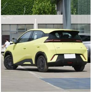 China Byd Seagull 2024 405km Electro Car Automobile ISO14001 Certified on sale