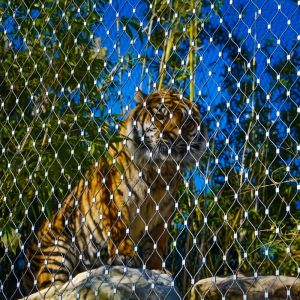 Buy cheap Stainless Steel Cable Mesh Netting For Zoological Enclosures from wholesalers