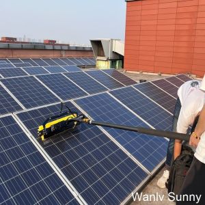 Buy cheap Shipping Method Sea/Air Solar Panel Cleaning System with Rolling Brush and 5.5m Rod from wholesalers
