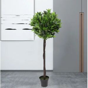 Buy cheap Height 160cm Artificial Potted Floor Plants Plastic Laurel Tree from wholesalers