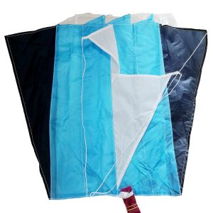 Buy cheap Display Polyester Material of  Single Line 60x51cm Pocket Flyer Kite from wholesalers